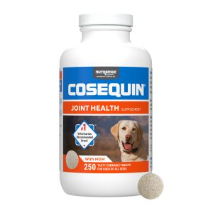 Chewds250 Msm.main