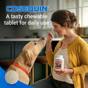 Chewds250 Msm.pt4