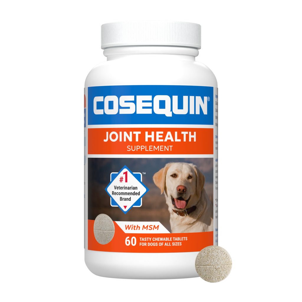 Chewds60 Msm.main