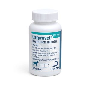 Carprovetccap100180