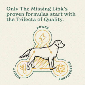 Missinglinkhipjointcanine4