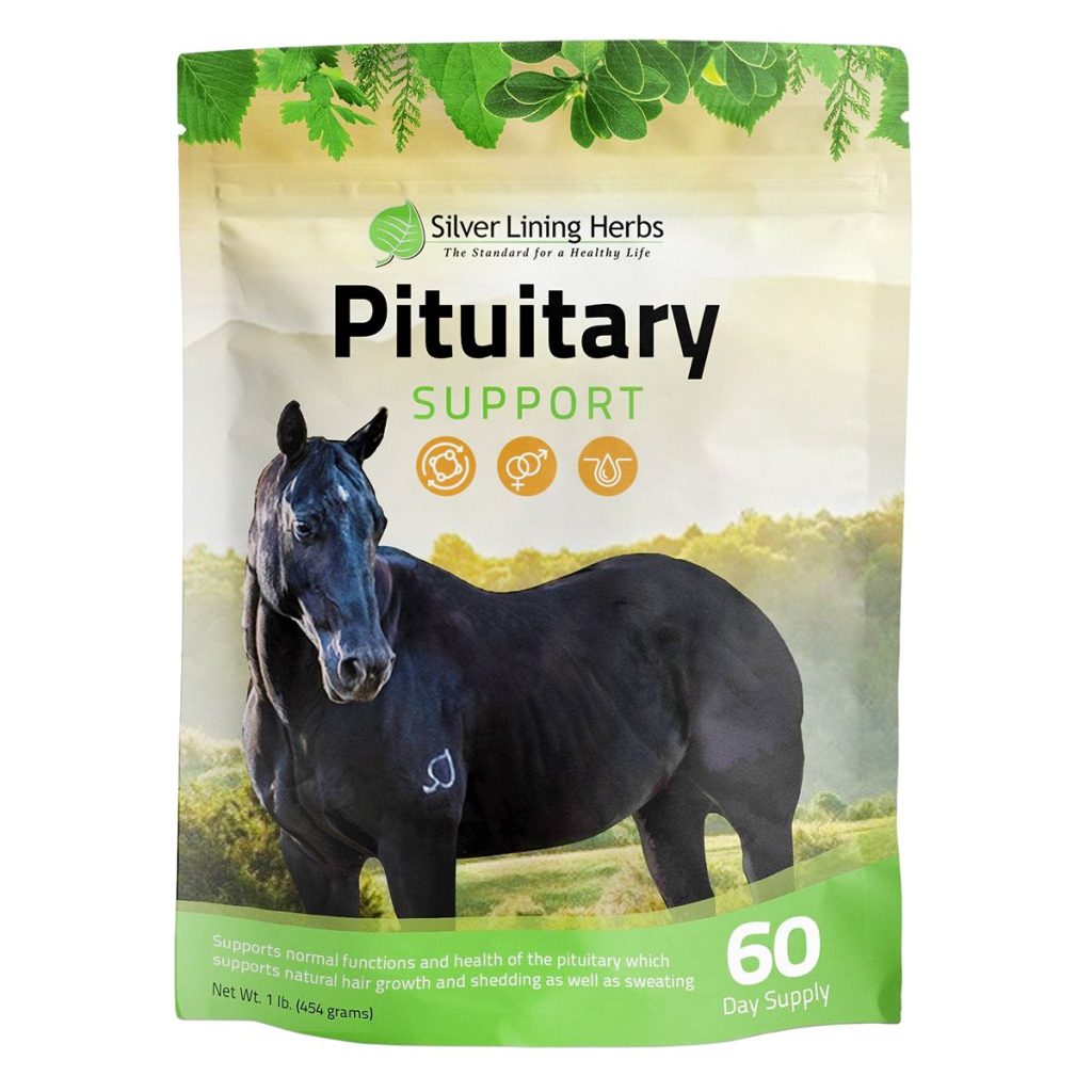 Pituitarysupportlb