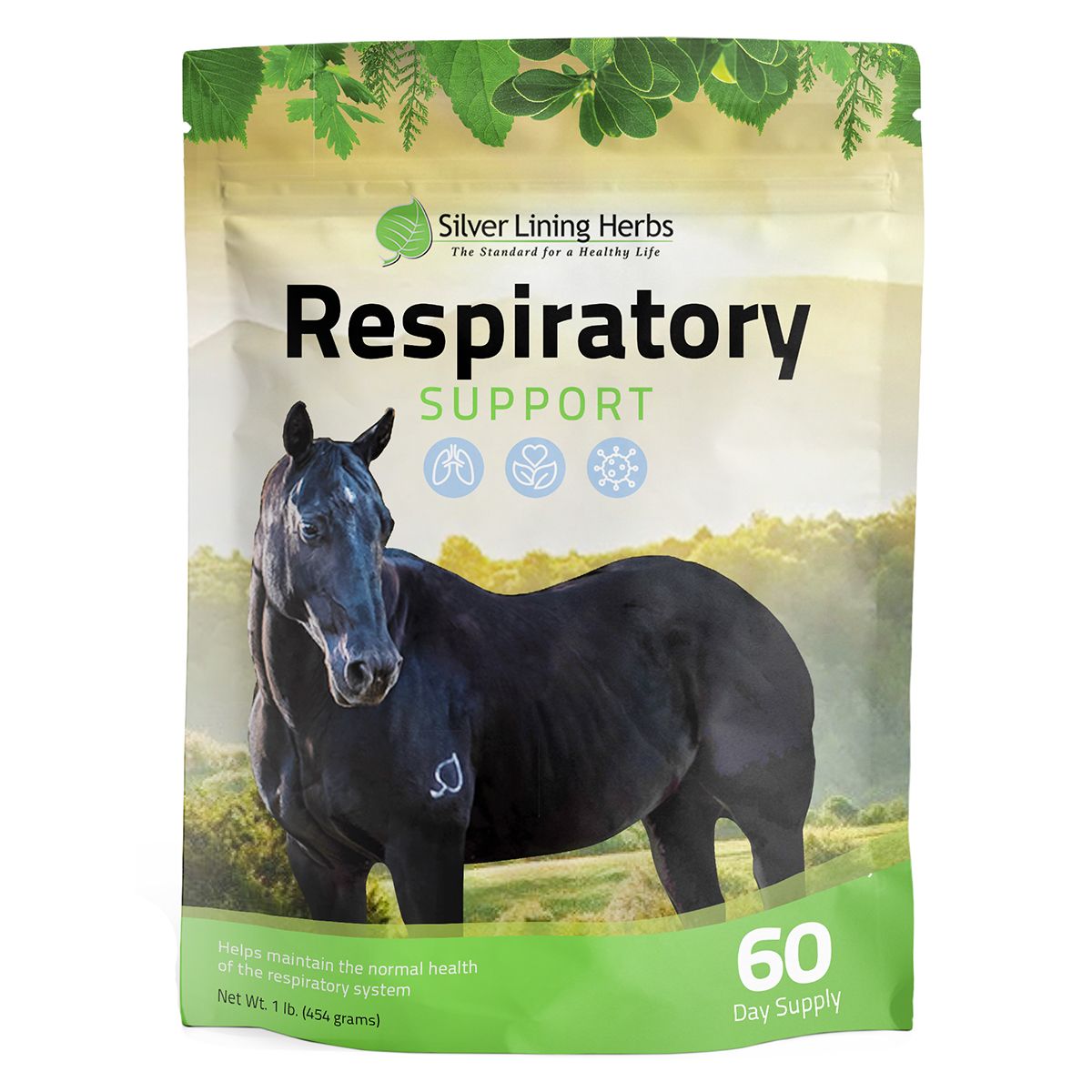 Respiratorysupport