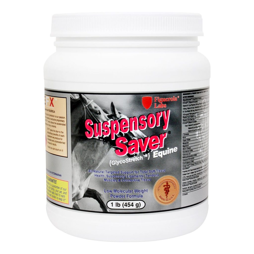 Suspensorysaver1lb