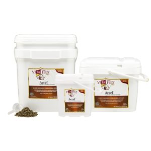 products accelhealthwellness_2