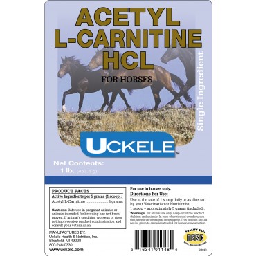 products acetyllcarnitine