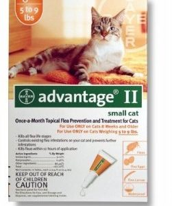 products advantageiiorangecat