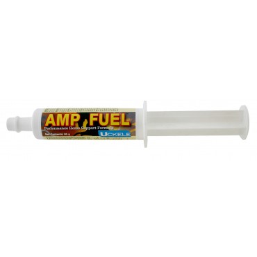 products ampfueldailypaste