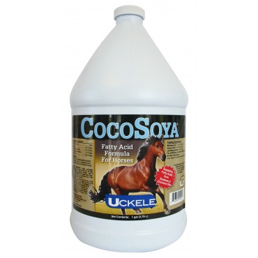 Cocosoya for dogs store