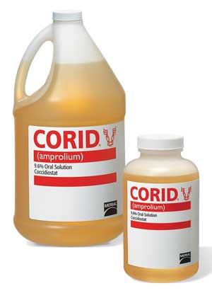 products corid_2