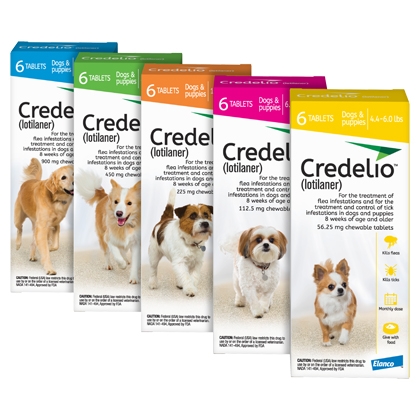 products credelio_4