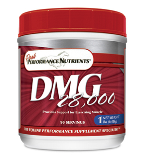 products dmg28000