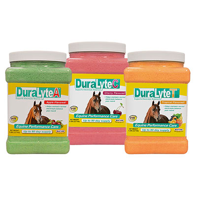 products duralyte