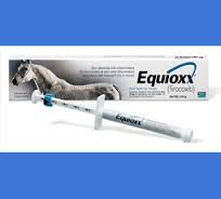 products equioxxpaste