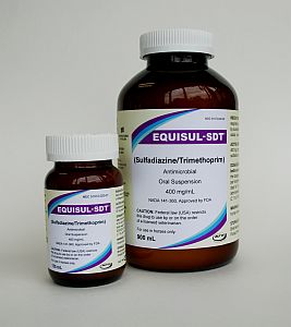 products equisulsdt_1