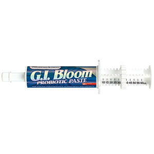 products gibloompaste_1
