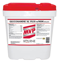 products glucosaminexlplusmsm