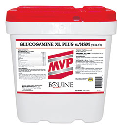 products glucosaminexlplusmsm_3