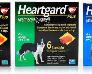 products heartgardplus6pk