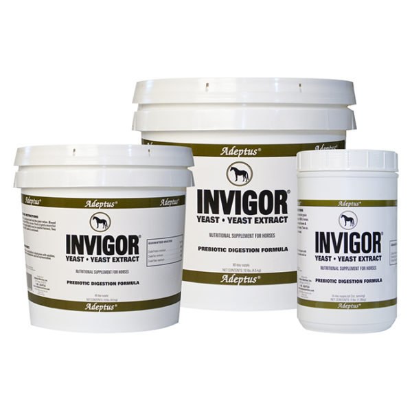 products invigorgrp_1