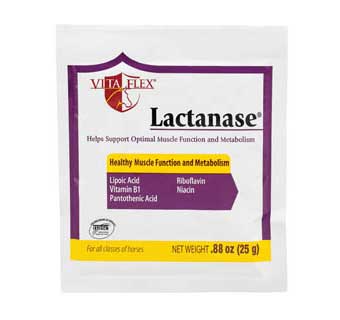 products lactanase