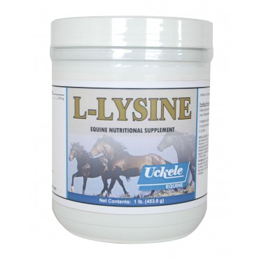 products lysine