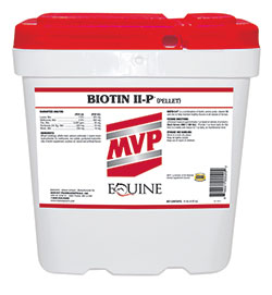 products mvpbiotiniip
