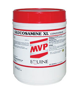 products mvpglucosaminexl