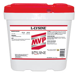 products mvpllysine