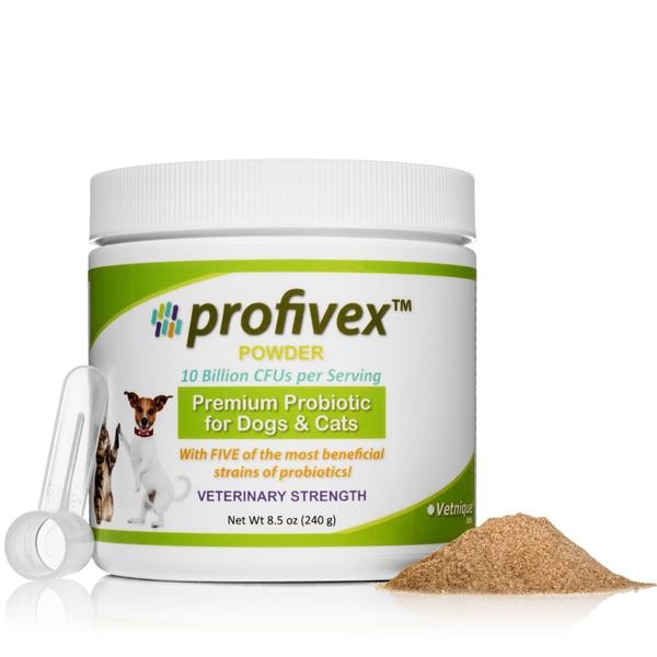 Profivex Probiotic Powder 8 5oz  J B Pet Source