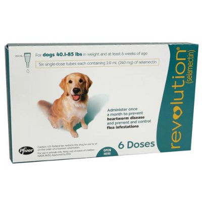 Pfizer revolution for sales dogs