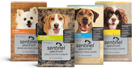 sentinel spectrum for dogs