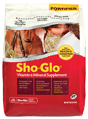 products shoglo_1