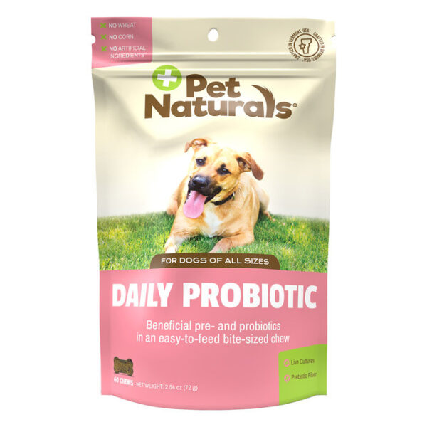 Dailyprobioticdog