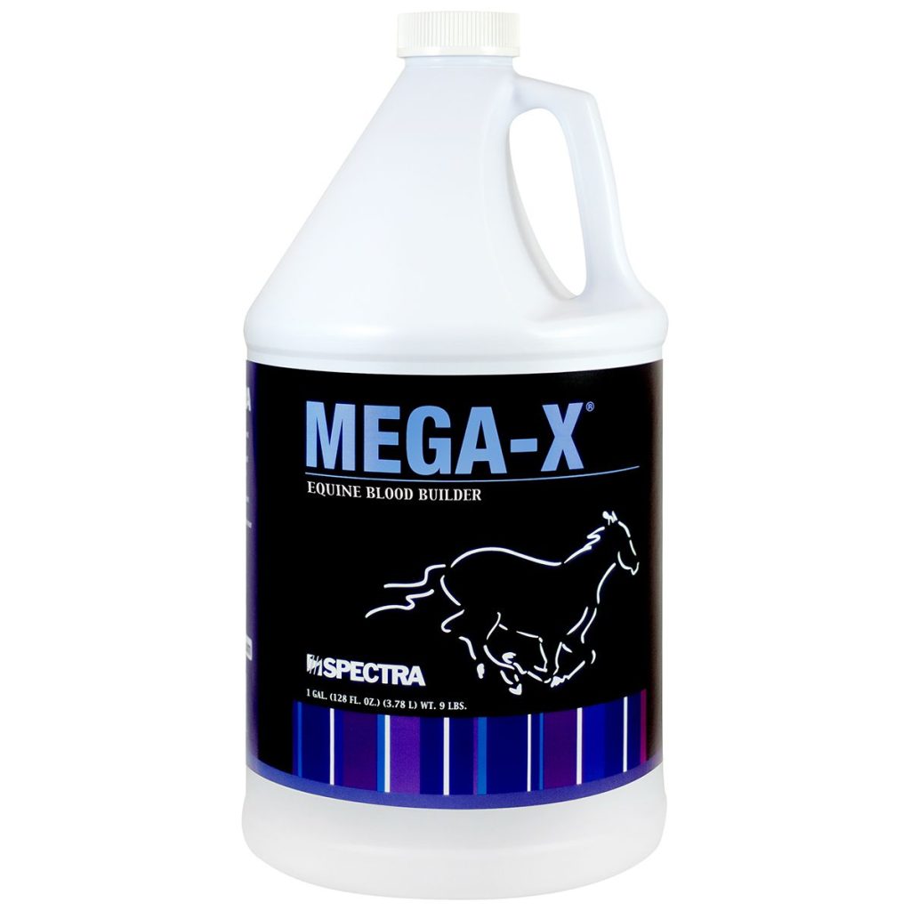 Megaxgal