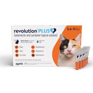 Revolutionpluscatorange