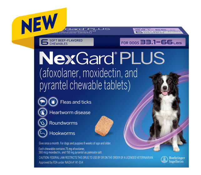 NexGard Plus for Dogs Purple 33.1 66lbs 12 pk J B Pet Source