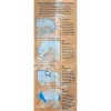 Herballstreats2