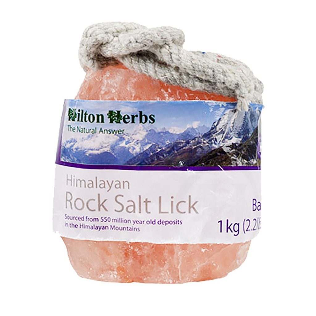 Himalayanrocksaltlickbaby