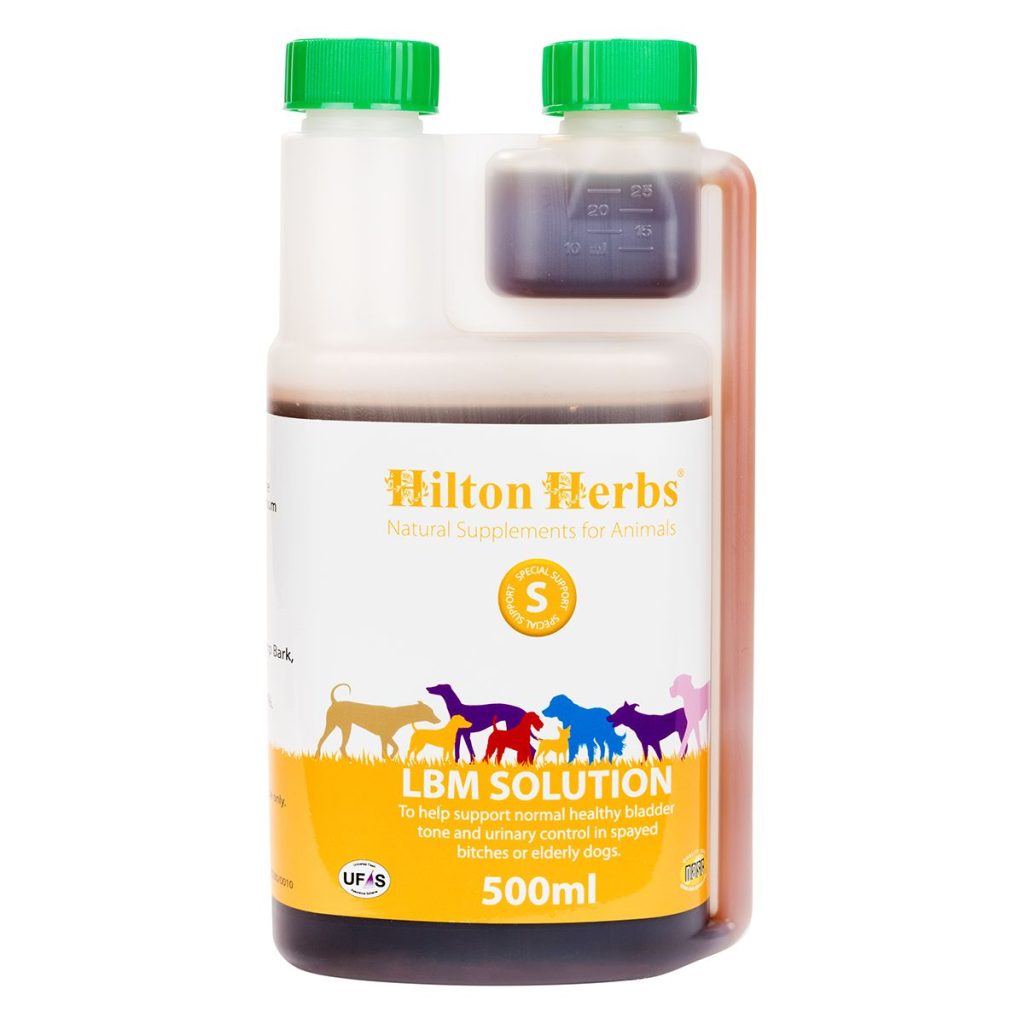 Lbmsolution500ml