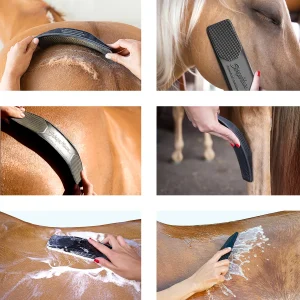 Originalhorse3