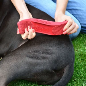 Sensitivepets2
