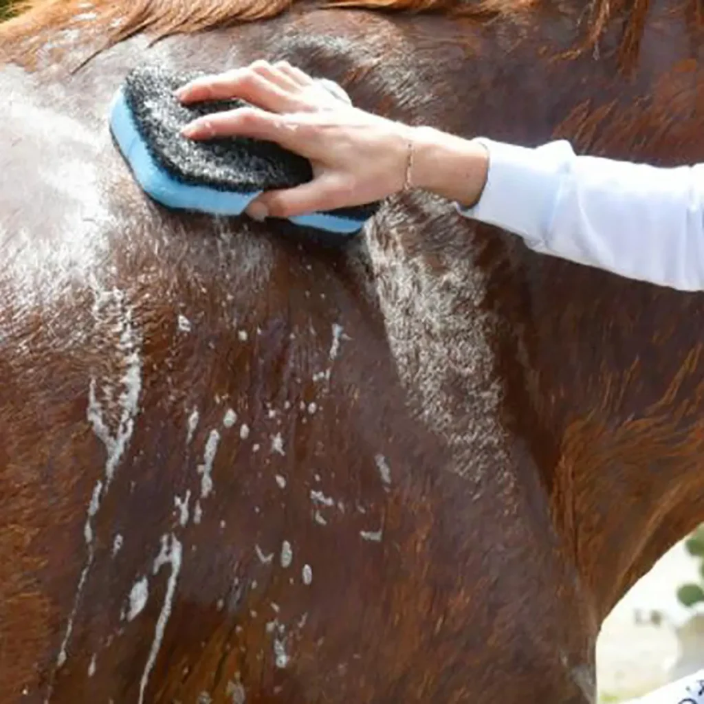 Aprilpowershower3