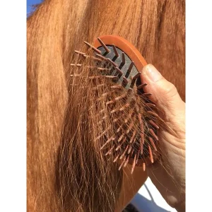 Eponawoodcurrybrush2