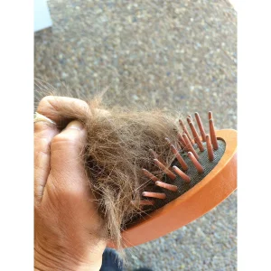 Eponawoodcurrybrush3
