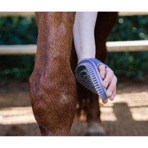 Flexibleglossygroomer3
