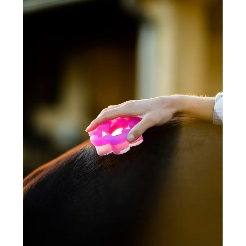 Shedflower2