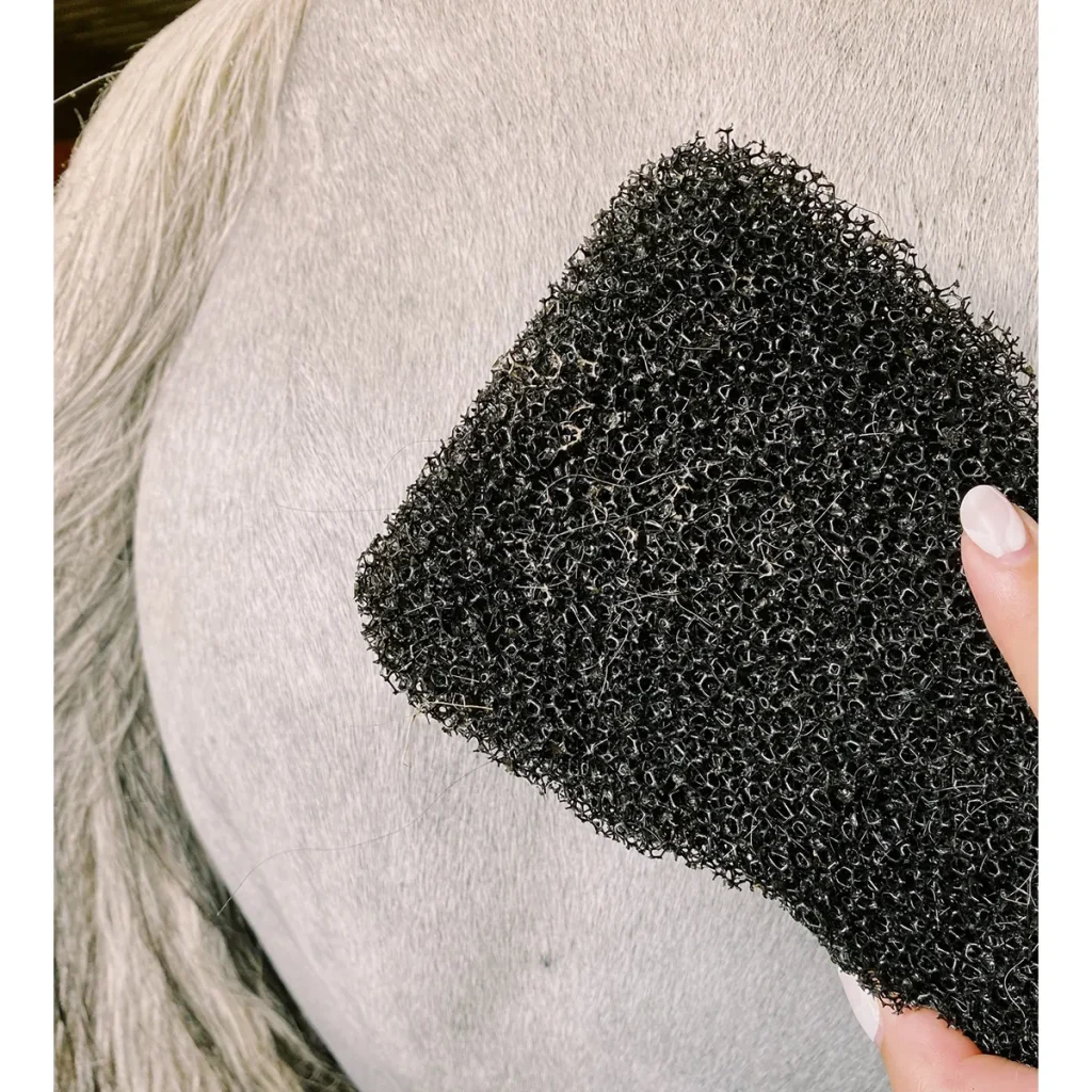 Tigerstonguehorsegroomer3