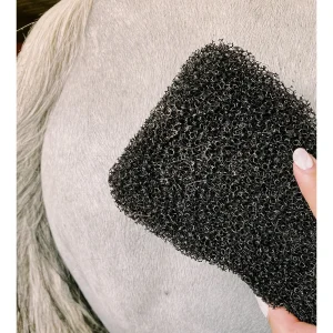 Tigerstonguehorsegroomer3