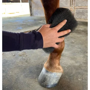 Tigerstonguehorsegroomer5